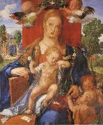 Albrecht Durer The Madonna with the Siskin France oil painting artist